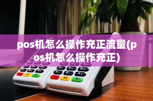 pos机怎么操作充正流量(pos机怎么操作充正)