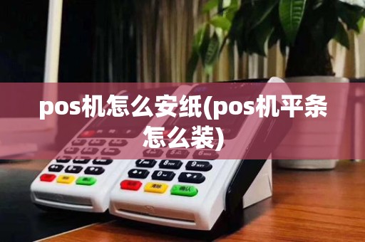 pos机怎么安纸(pos机平条怎么装)