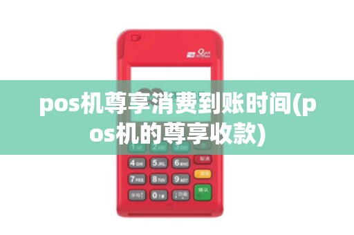 pos机尊享消费到账时间(pos机的尊享收款)