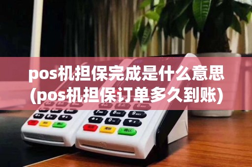 pos机担保完成是什么意思(pos机担保订单多久到账)