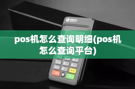 pos机怎么查询明细(pos机怎么查询平台)