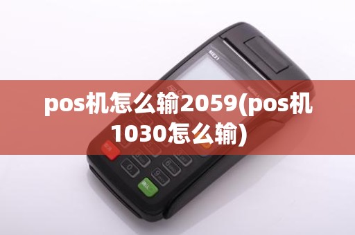 pos机怎么输2059(pos机1030怎么输)