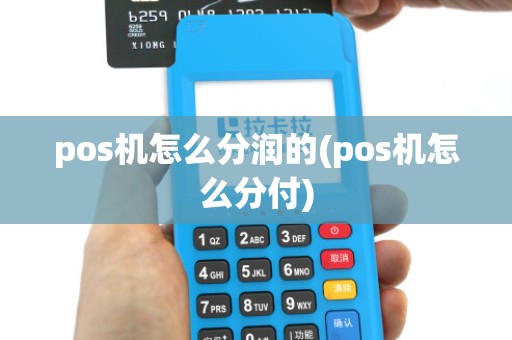 pos机怎么分润的(pos机怎么分付)