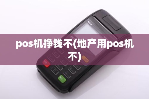 pos机挣钱不(地产用pos机不)