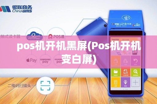 pos机开机黑屏(Pos机开机变白屏)