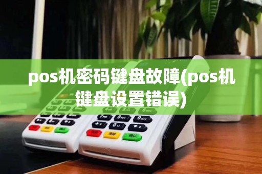 pos机密码键盘故障(pos机键盘设置错误)