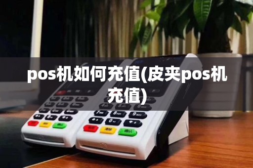 pos机如何充值(皮夹pos机充值)