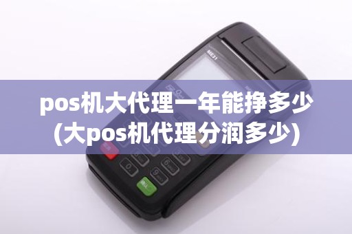 pos机大代理一年能挣多少(大pos机代理分润多少)