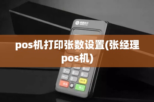 pos机打印张数设置(张经理pos机)