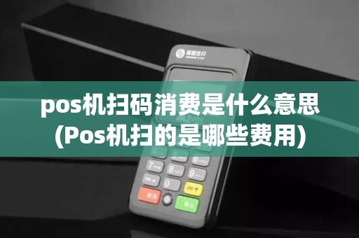 pos机扫码消费是什么意思(Pos机扫的是哪些费用)