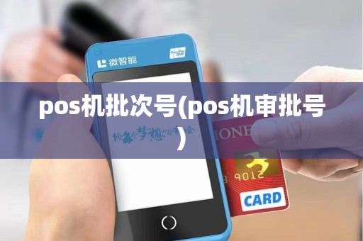 pos机批次号(pos机审批号)