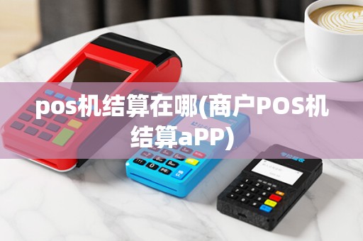 pos机结算在哪(商户POS机结算aPP)