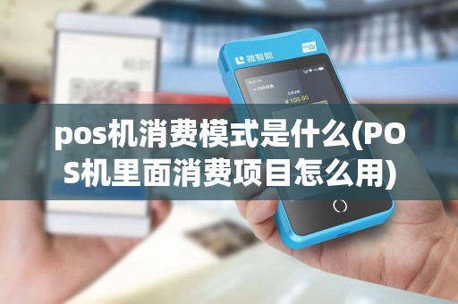pos机消费模式是什么(POS机里面消费项目怎么用)