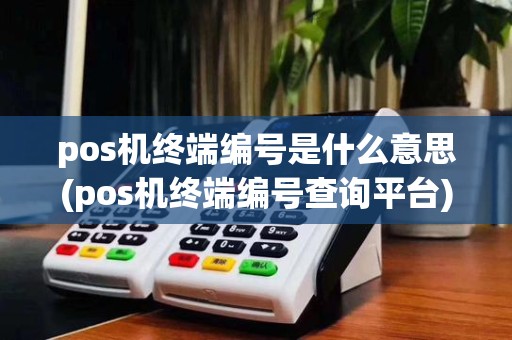 pos机终端编号是什么意思(pos机终端编号查询平台)