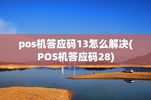 pos机答应码13怎么解决(POS机答应码28)