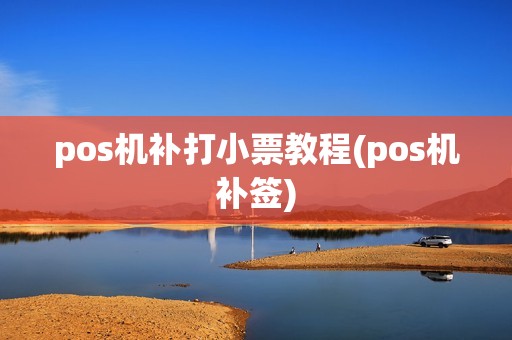 pos机补打小票教程(pos机补签)