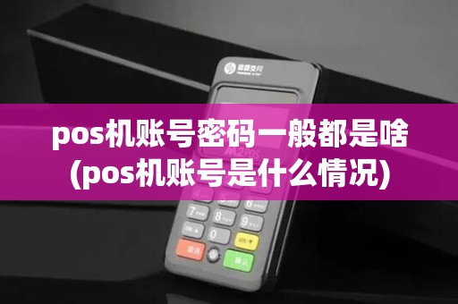 pos机账号密码一般都是啥(pos机账号是什么情况)