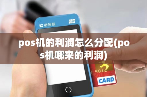 pos机的利润怎么分配(pos机哪来的利润)