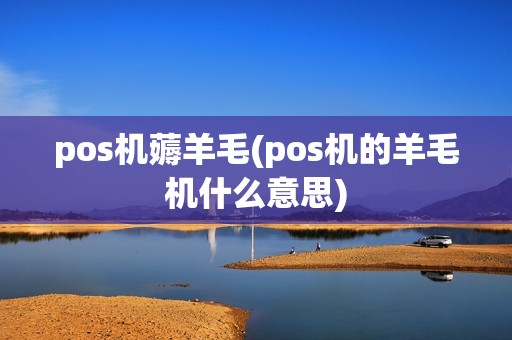 pos机薅羊毛(pos机的羊毛机什么意思)