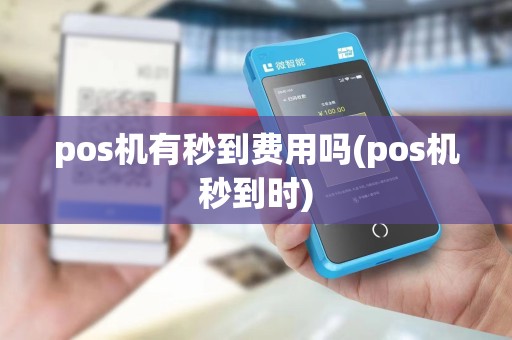 pos机有秒到费用吗(pos机秒到时)