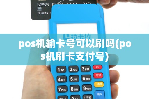 pos机输卡号可以刷吗(pos机刷卡支付号)