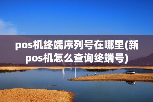 pos机终端序列号在哪里(新pos机怎么查询终端号)