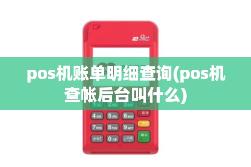 pos机账单明细查询(pos机查帐后台叫什么)