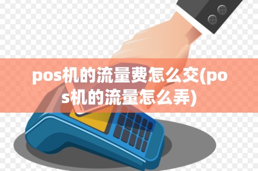 pos机的流量费怎么交(pos机的流量怎么弄)
