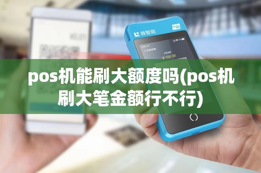pos机能刷大额度吗(pos机刷大笔金额行不行)