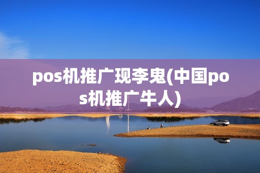 pos机推广现李鬼(中国pos机推广牛人)