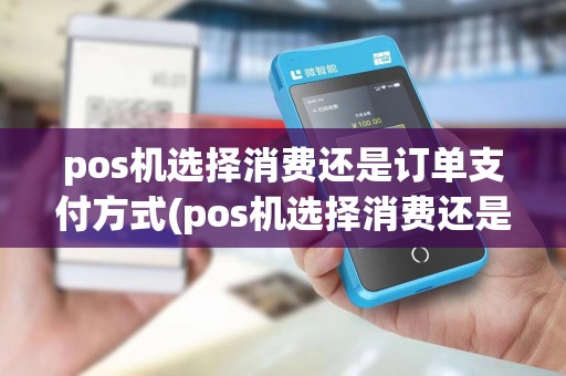 pos机选择消费还是订单支付方式(pos机选择消费还是订单支付)