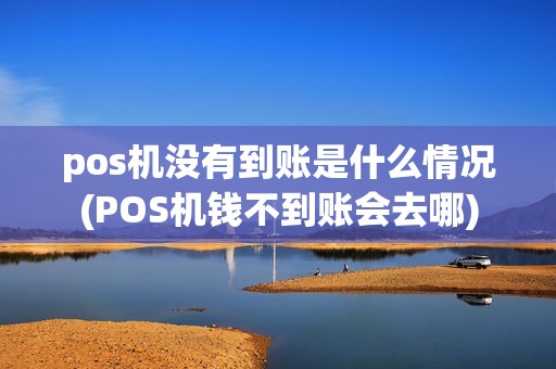 pos机没有到账是什么情况(POS机钱不到账会去哪)