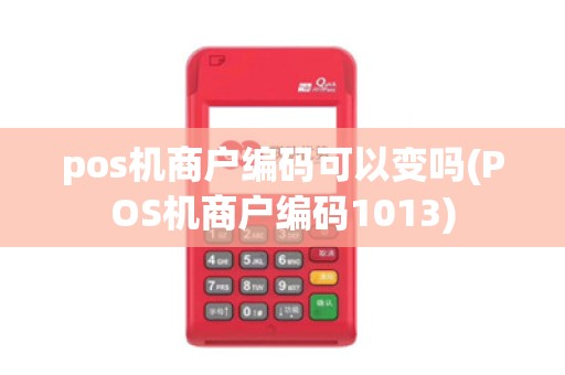 pos机商户编码可以变吗(POS机商户编码1013)