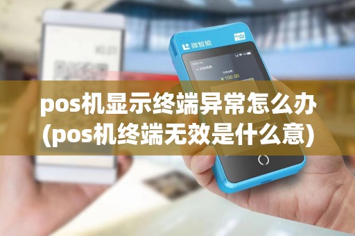 pos机显示终端异常怎么办(pos机终端无效是什么意)