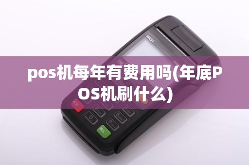 pos机每年有费用吗(年底POS机刷什么)