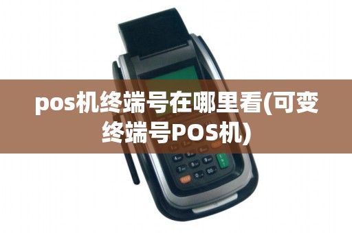 pos机终端号在哪里看(可变终端号POS机)