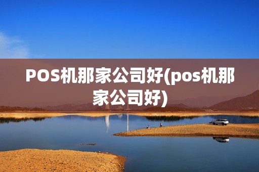 POS机那家公司好(pos机那家公司好)