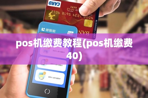 pos机缴费教程(pos机缴费40)