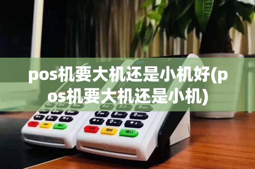 pos机要大机还是小机好(pos机要大机还是小机)