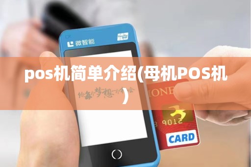 pos机简单介绍(母机POS机)