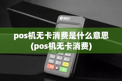 pos机无卡消费是什么意思(pos机无卡消费)