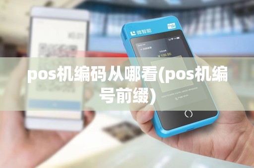 pos机编码从哪看(pos机编号前缀)