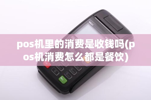 pos机里的消费是收钱吗(pos机消费怎么都是餐饮)