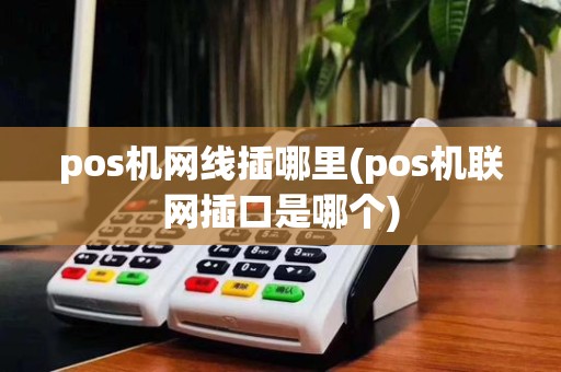 pos机网线插哪里(pos机联网插口是哪个)