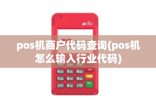 pos机商户代码查询(pos机怎么输入行业代码)