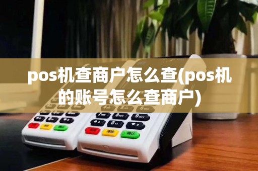 pos机查商户怎么查(pos机的账号怎么查商户)