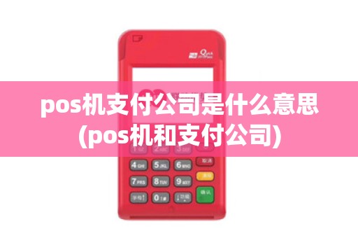 pos机支付公司是什么意思(pos机和支付公司)