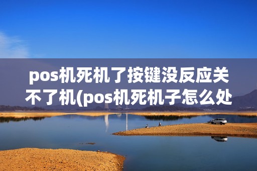 pos机死机了按键没反应关不了机(pos机死机子怎么处理)