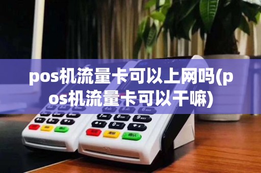 pos机流量卡可以上网吗(pos机流量卡可以干嘛)