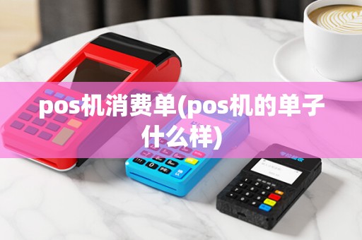 pos机消费单(pos机的单子什么样)